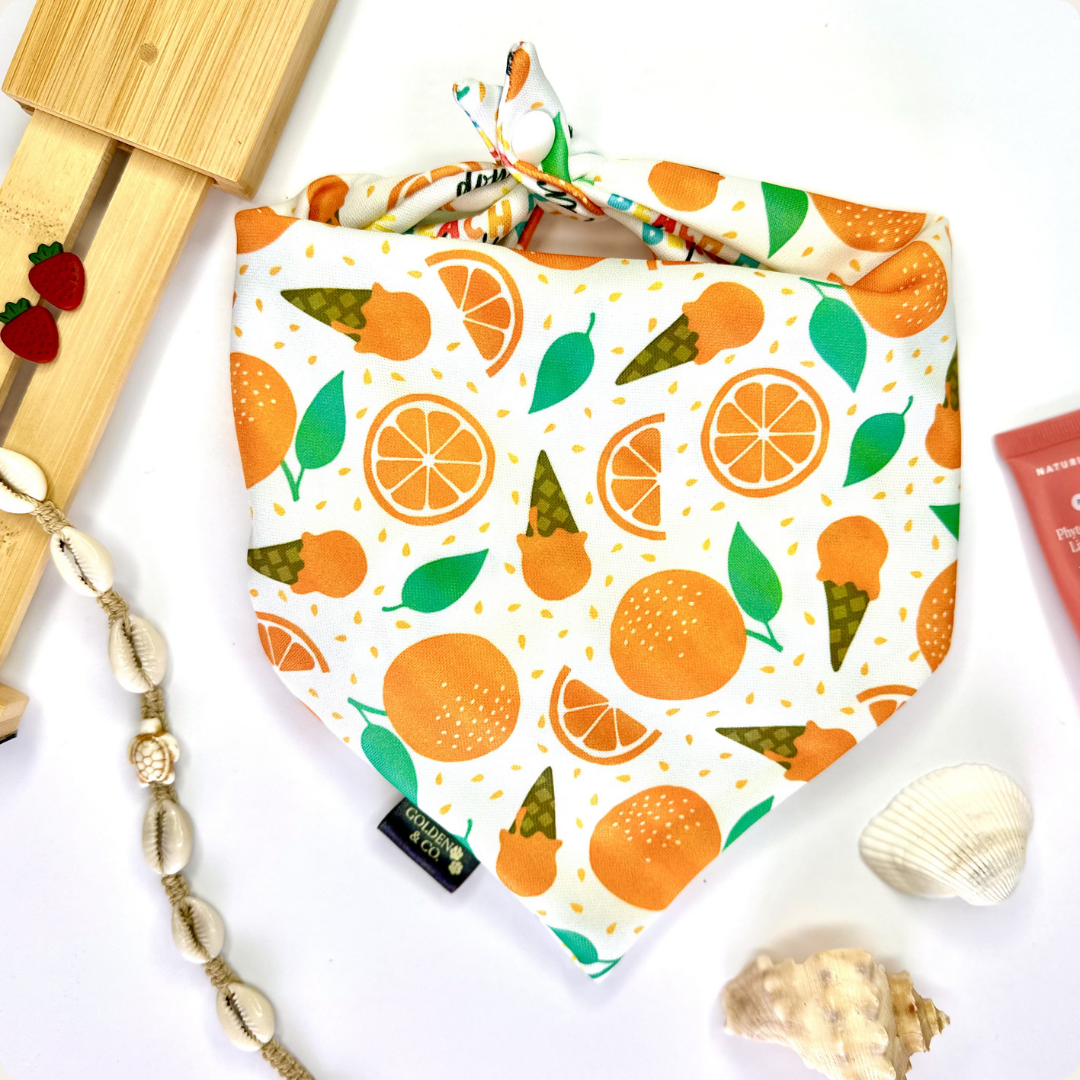 Beachside Citrus Swirl