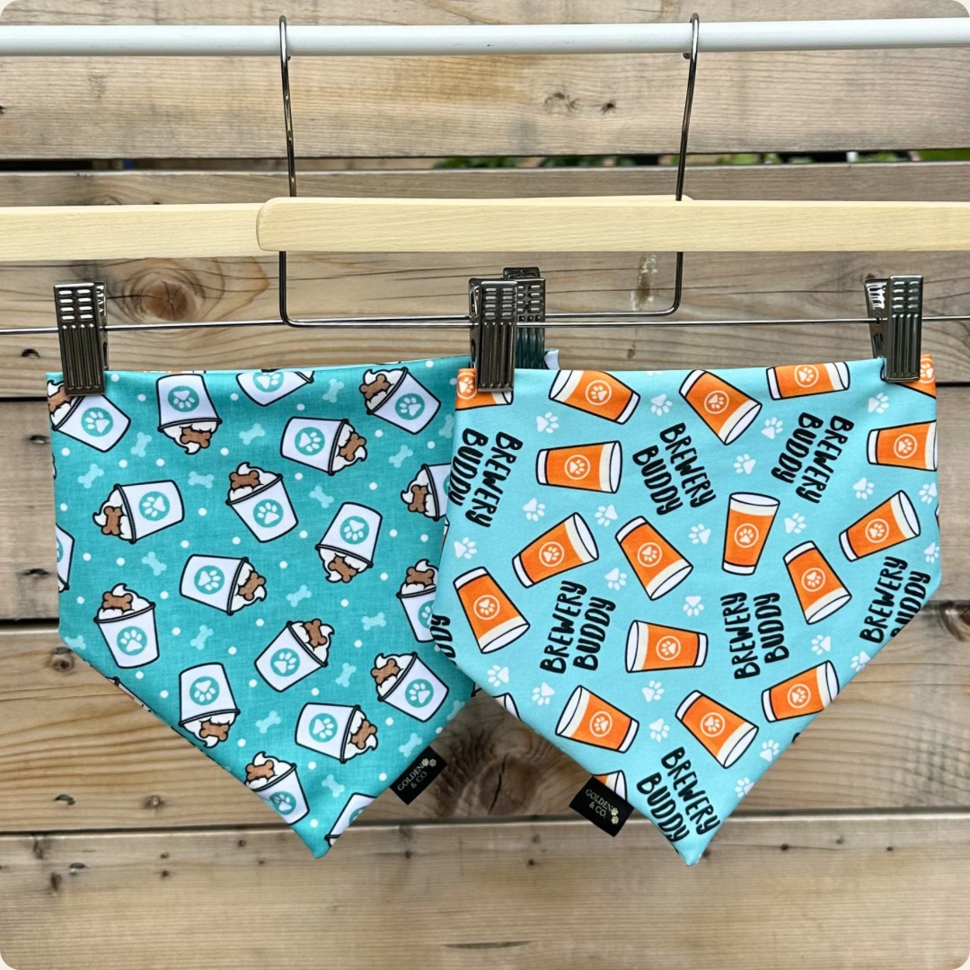 Brewery Buddy Pupcups - Teal