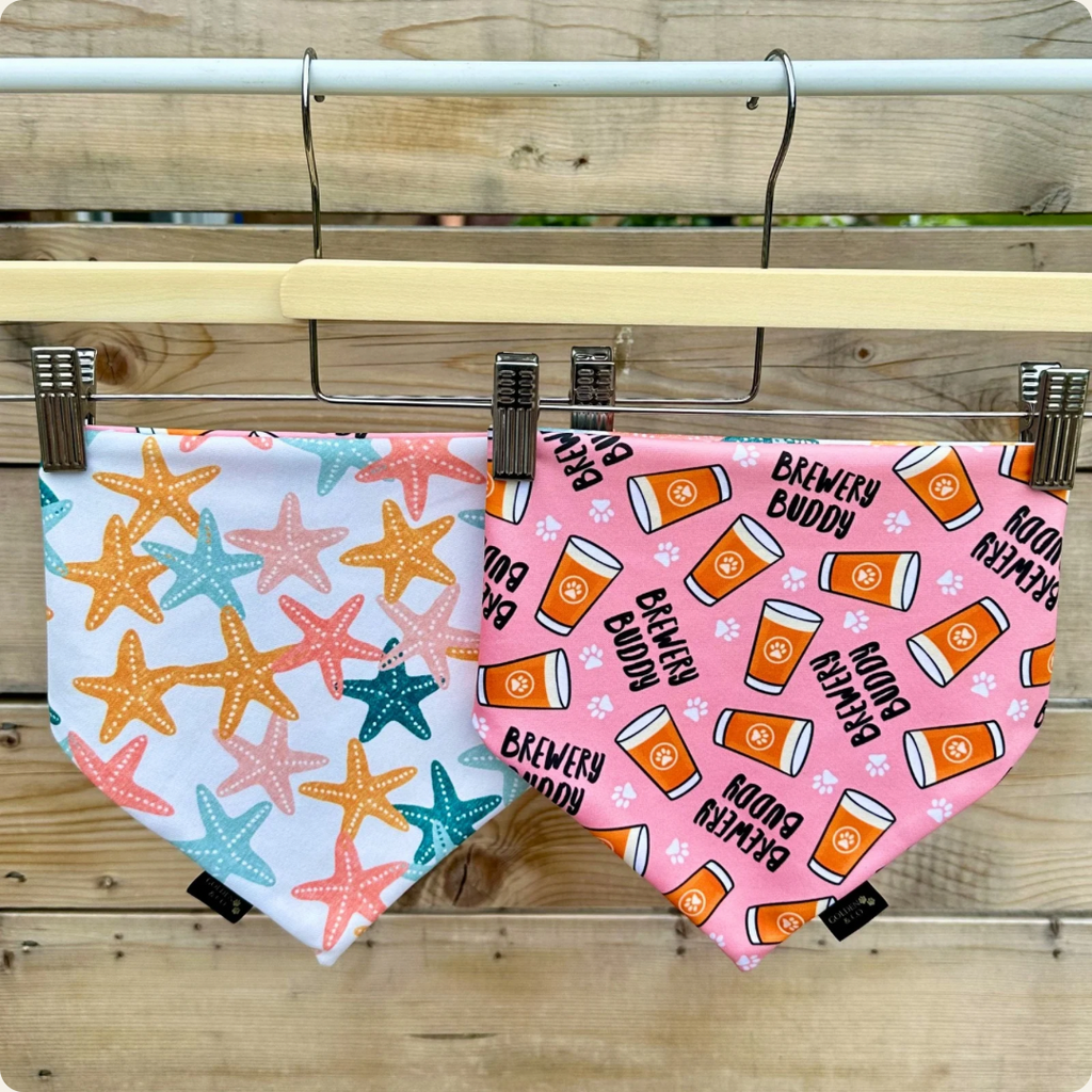 Brewery Buddy Starfish - Pink