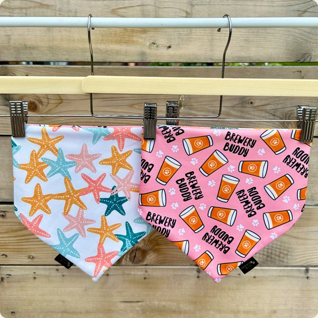Brewery Buddy Starfish - Pink